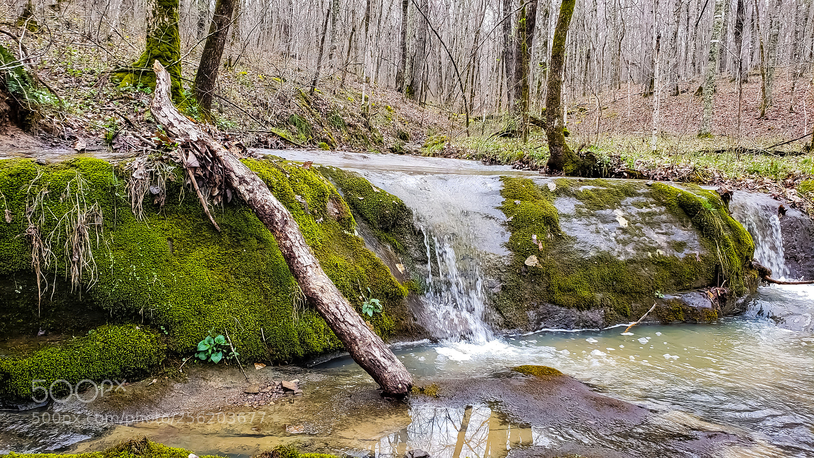 Samsung Galaxy S9+ sample photo. Untitled photography