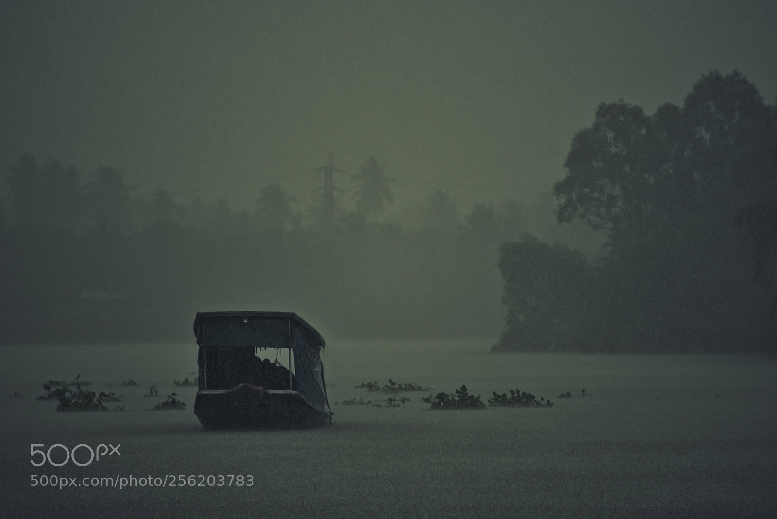 Nikon D750 sample photo. Rainy day photography