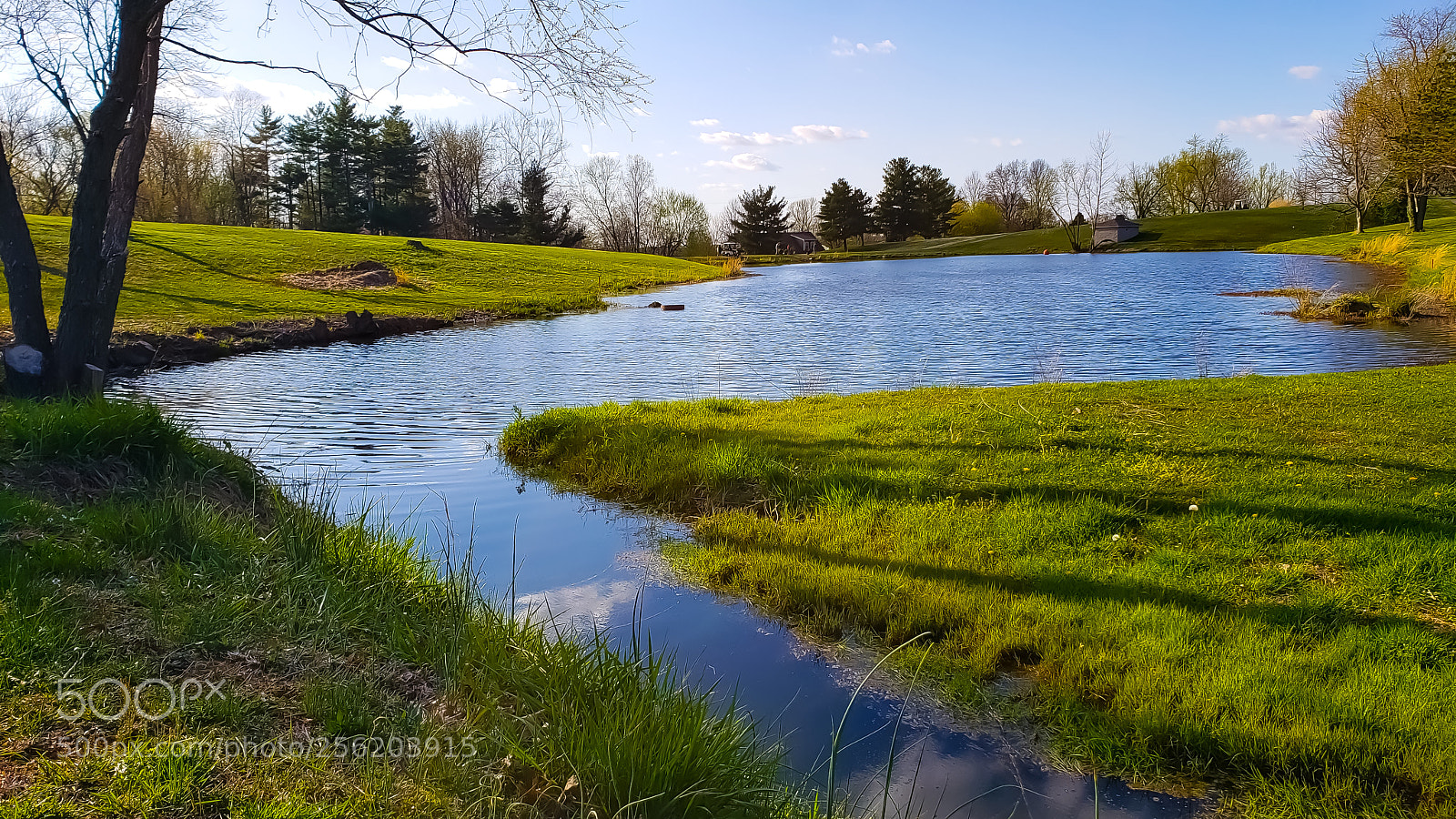 Samsung Galaxy S9+ sample photo. Untitled photography