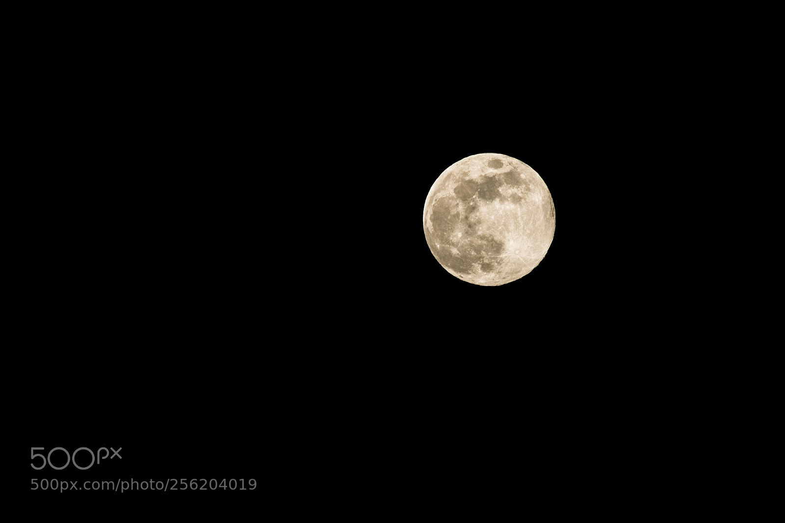 Nikon D850 sample photo. Pink moon 2018 photography
