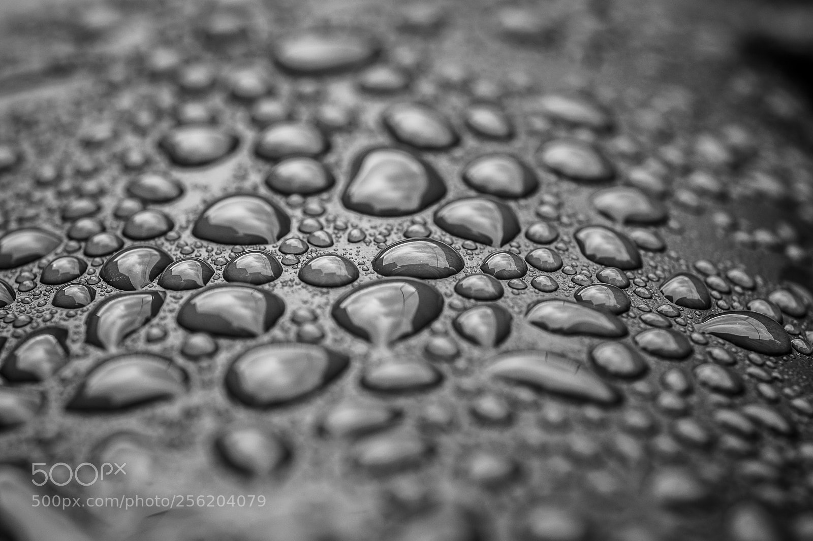 Nikon D7100 sample photo. Rainy day photography