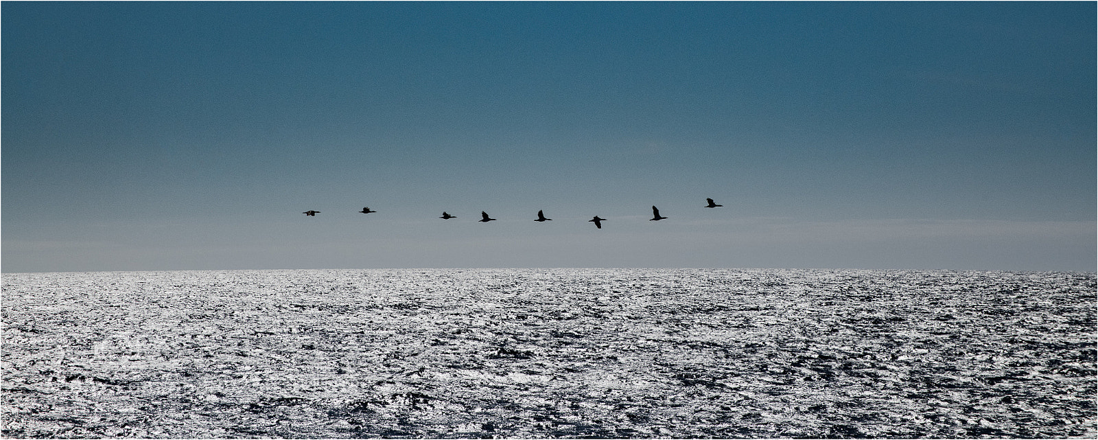 Nikon D850 sample photo. Over the sea photography