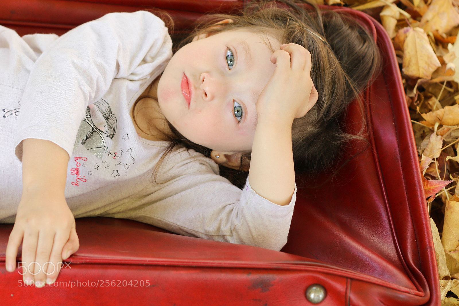 Canon EOS 70D sample photo. Pensando en migrar photography