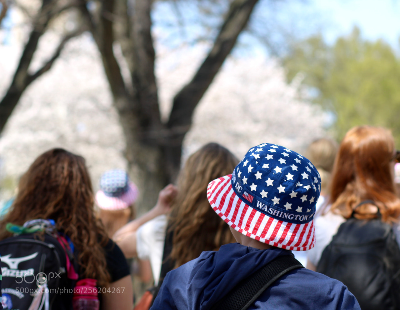 Canon EOS 750D (EOS Rebel T6i / EOS Kiss X8i) sample photo. April in washington photography