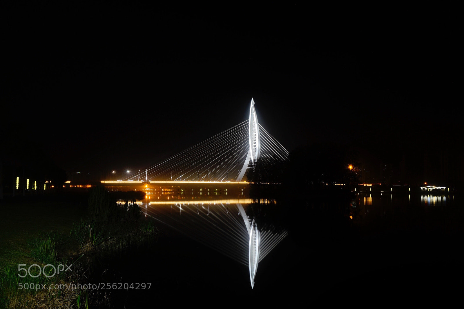 Sony a7 II sample photo. 虛實 photography