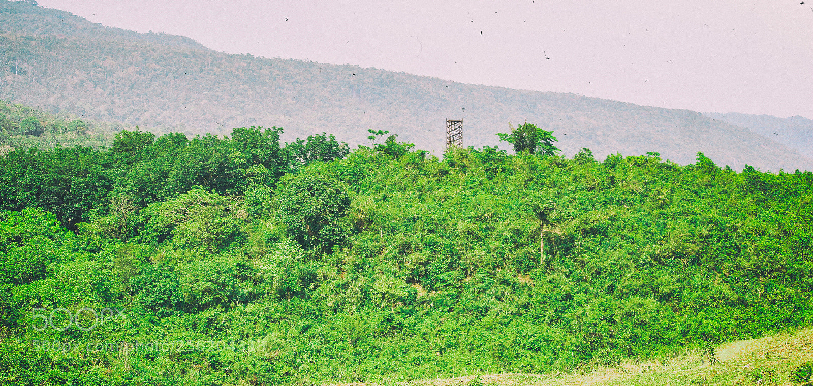 Canon EOS 700D (EOS Rebel T5i / EOS Kiss X7i) sample photo. Jaflong hill photography