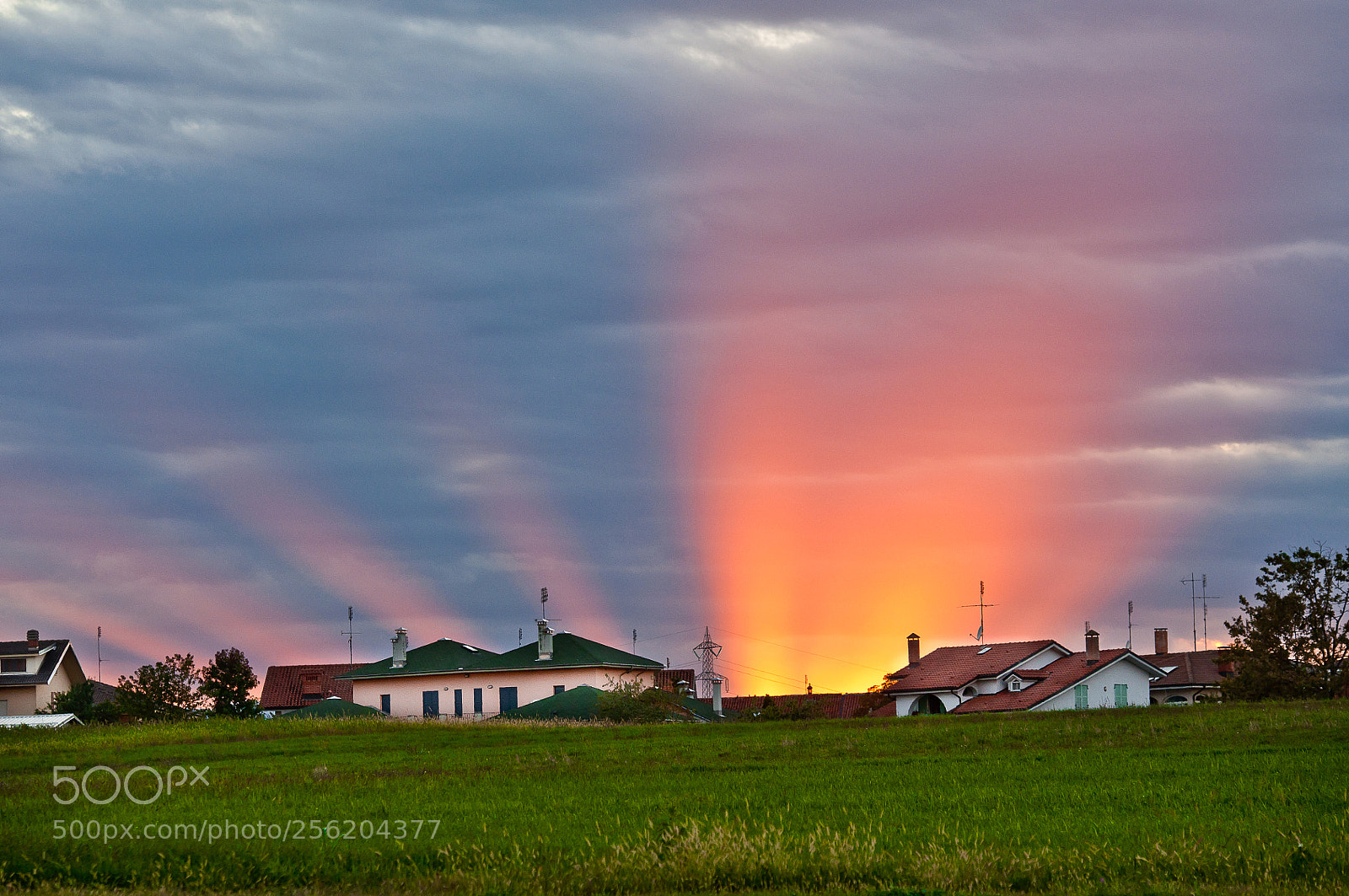 Nikon D90 sample photo. Energetic sunset photography