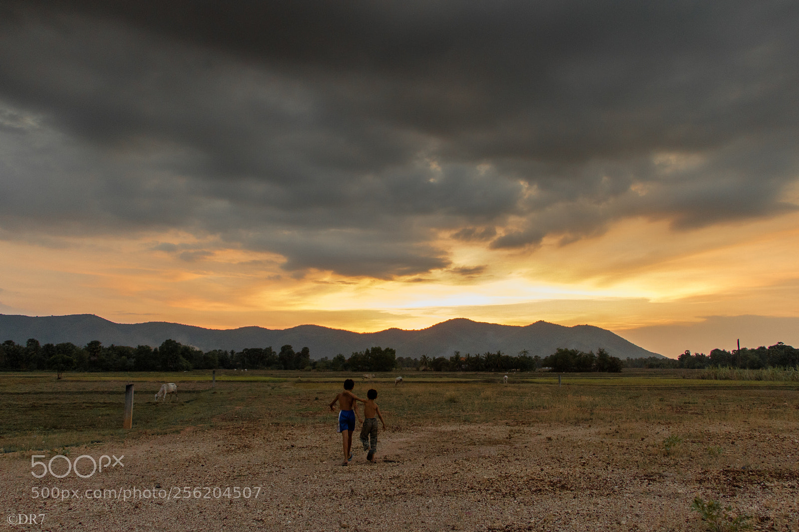 Canon EOS 750D (EOS Rebel T6i / EOS Kiss X8i) sample photo. • let's go (cambodia) #dr7 photography