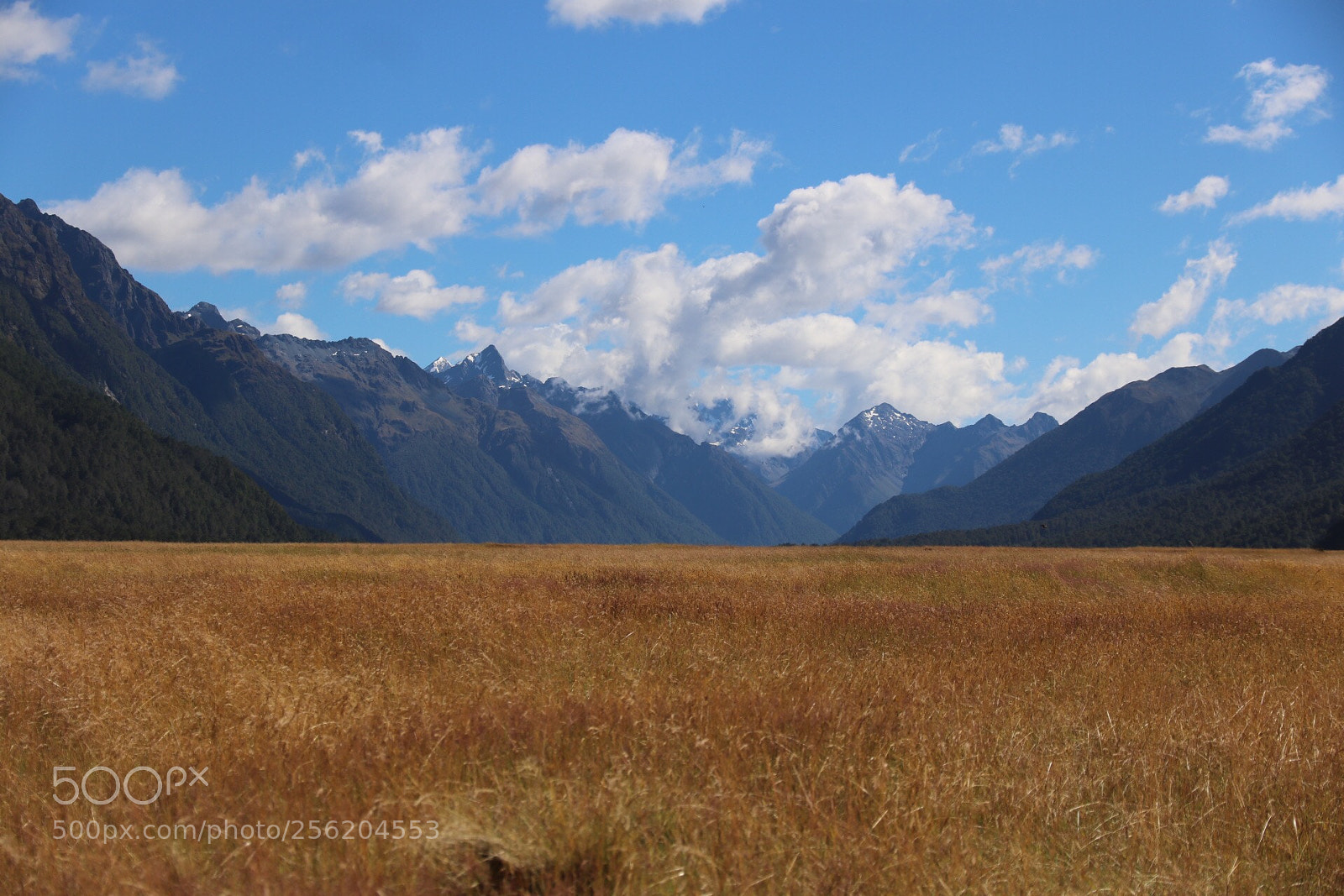 Canon EOS 750D (EOS Rebel T6i / EOS Kiss X8i) sample photo. Peaceful grasslands photography