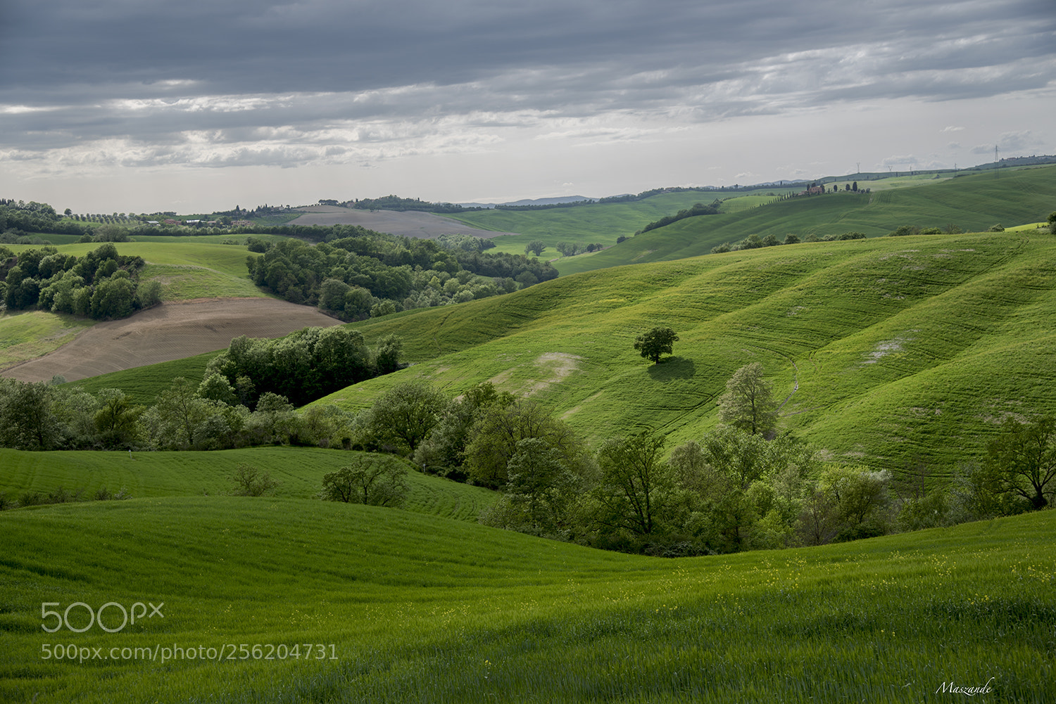 Nikon D750 sample photo. The shire photography