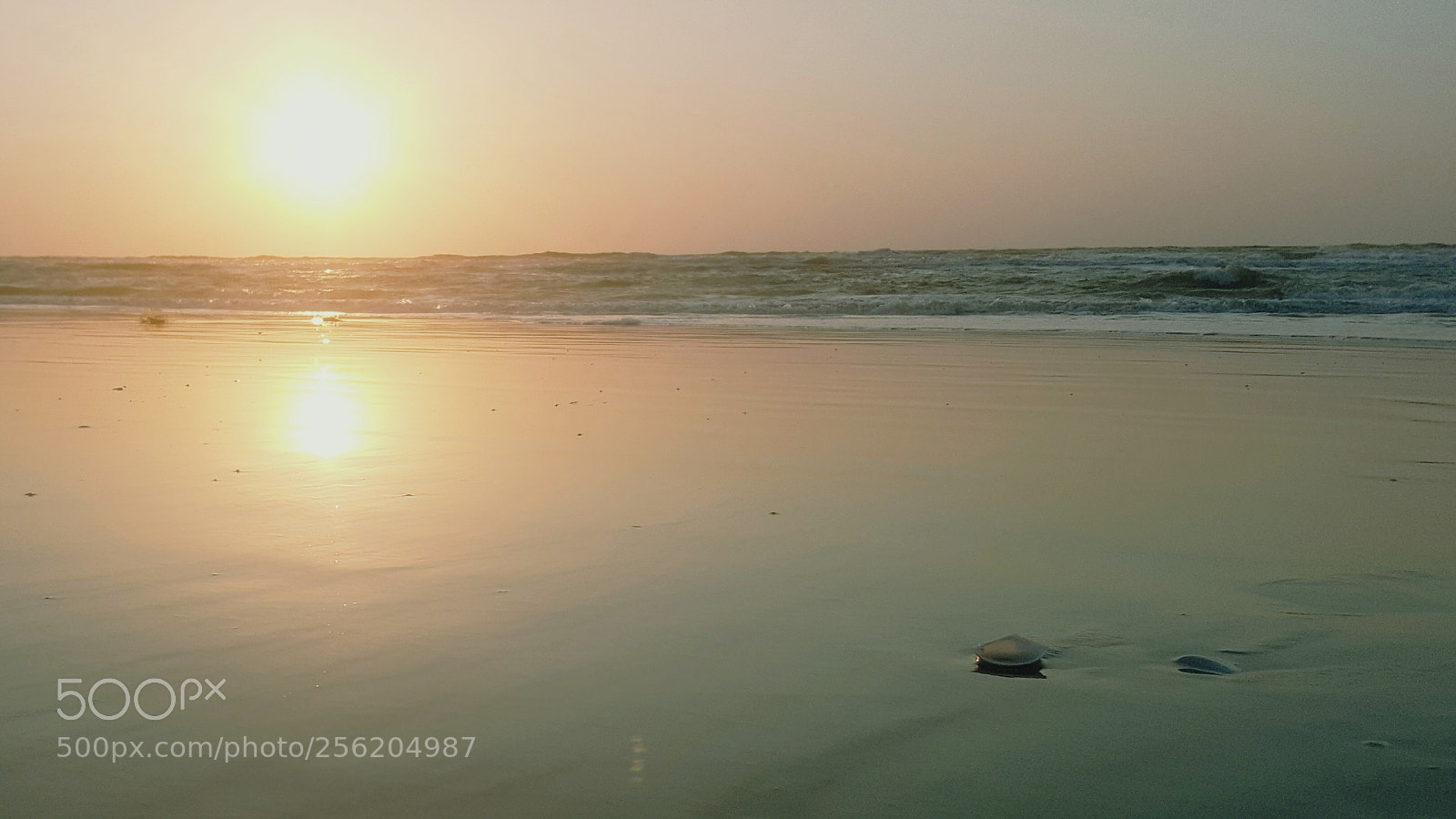 Samsung Galaxy Note5 sample photo. Time on the beach photography