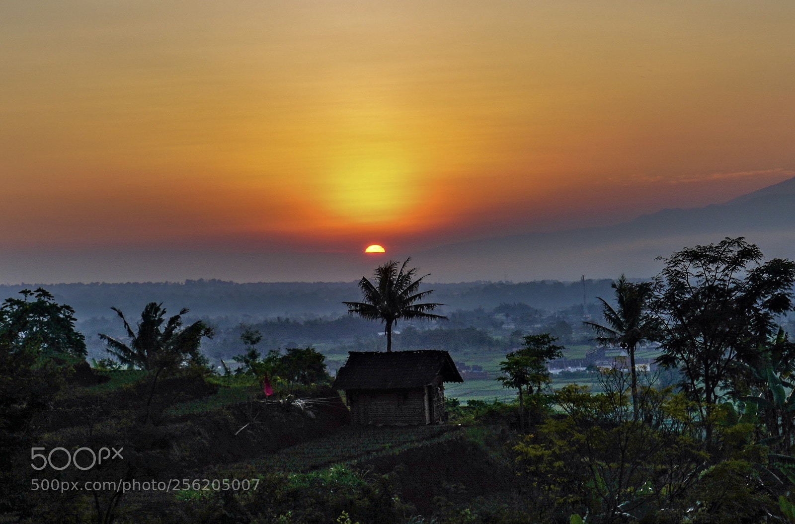 Sony a7R III sample photo. Sunrise from wukir mt photography