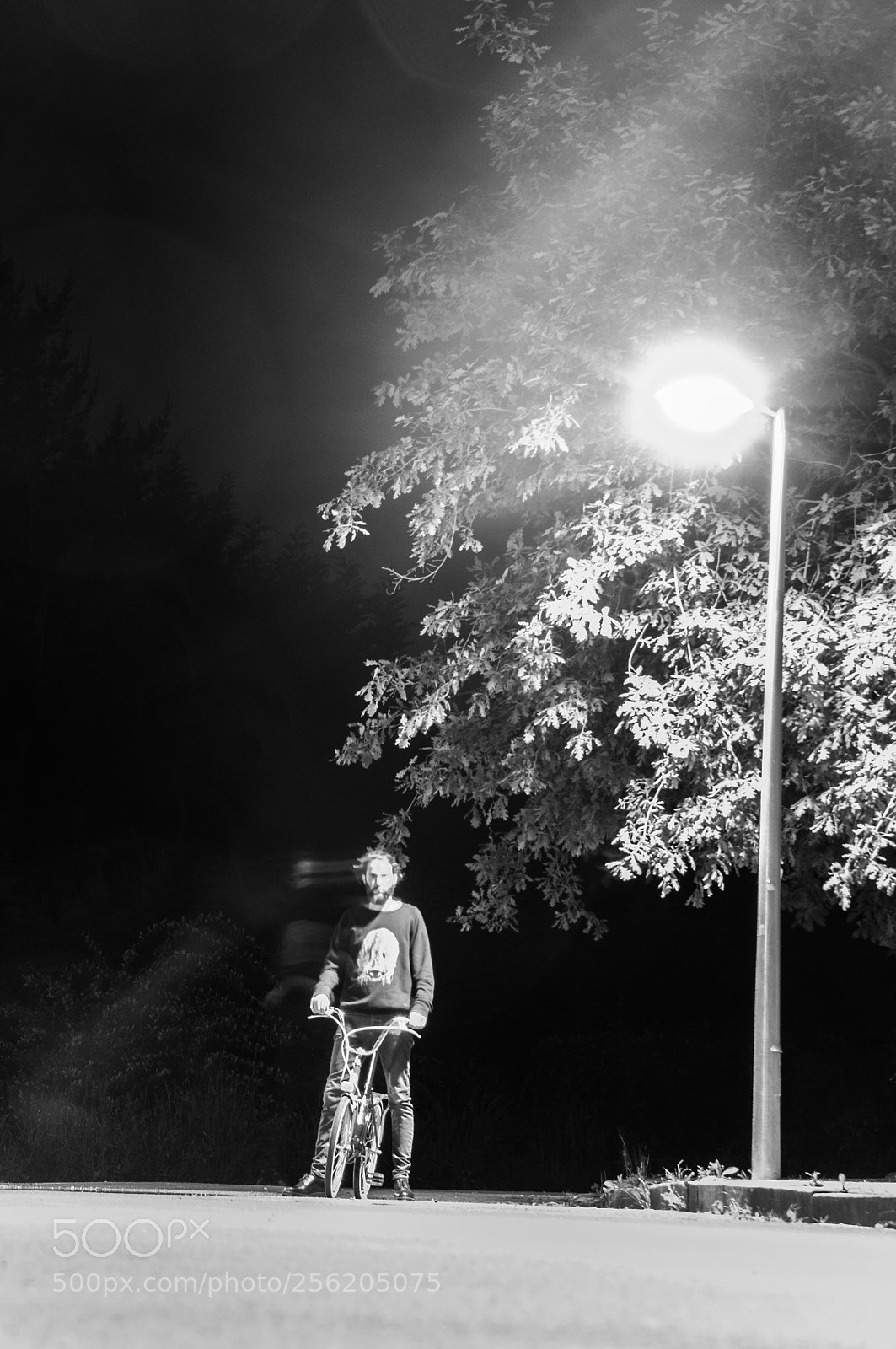 Nikon D90 sample photo. Night ride photography