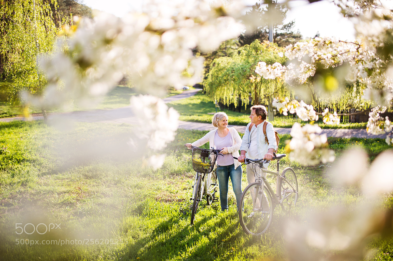 Nikon D4S sample photo. Beautiful senior couple with photography