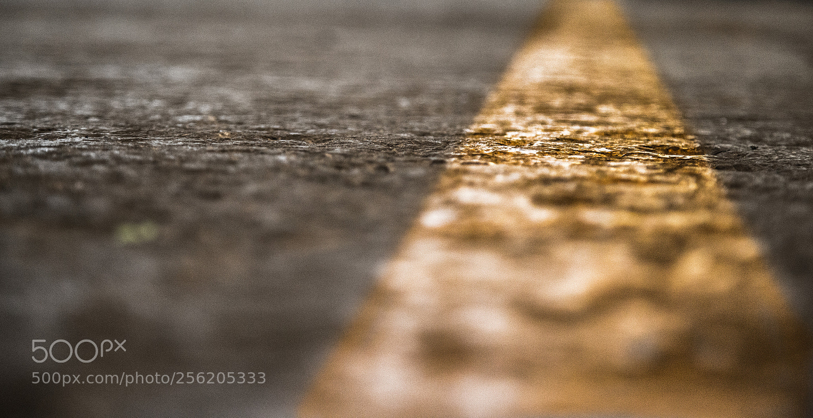 Canon EOS 6D sample photo. Industrial floor strip band photography