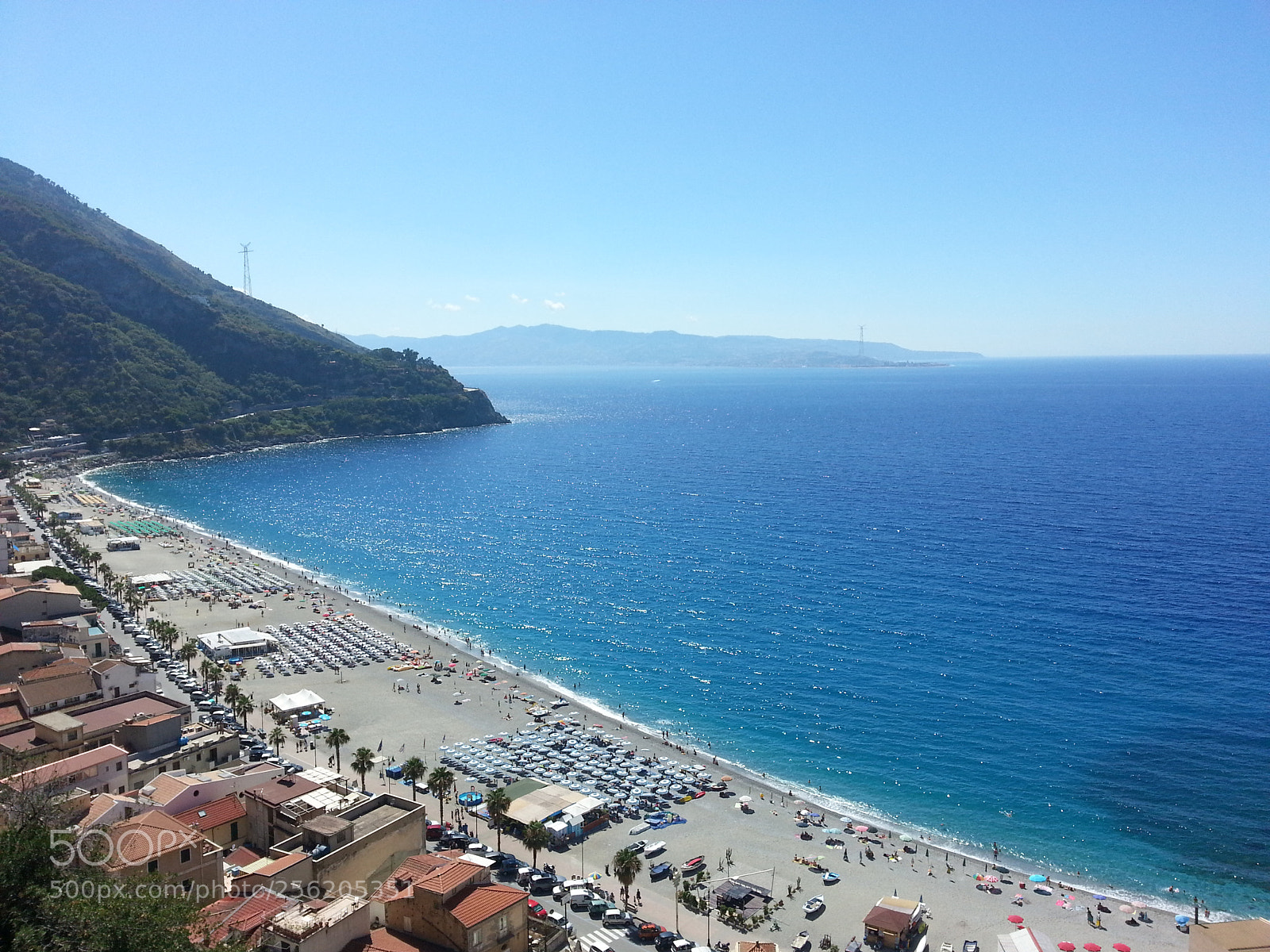 Samsung Galaxy S3 sample photo. Scilla photography