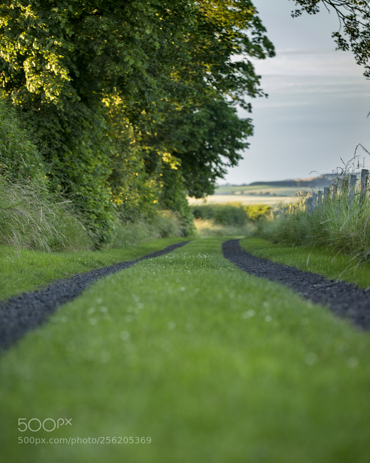 Sony a7R sample photo. From there to eternity photography