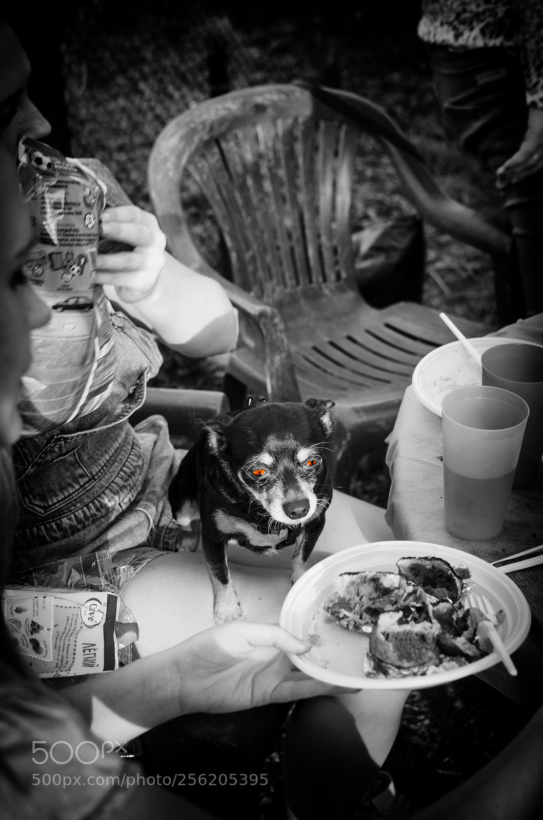 Nikon D7000 sample photo. Hunger photography
