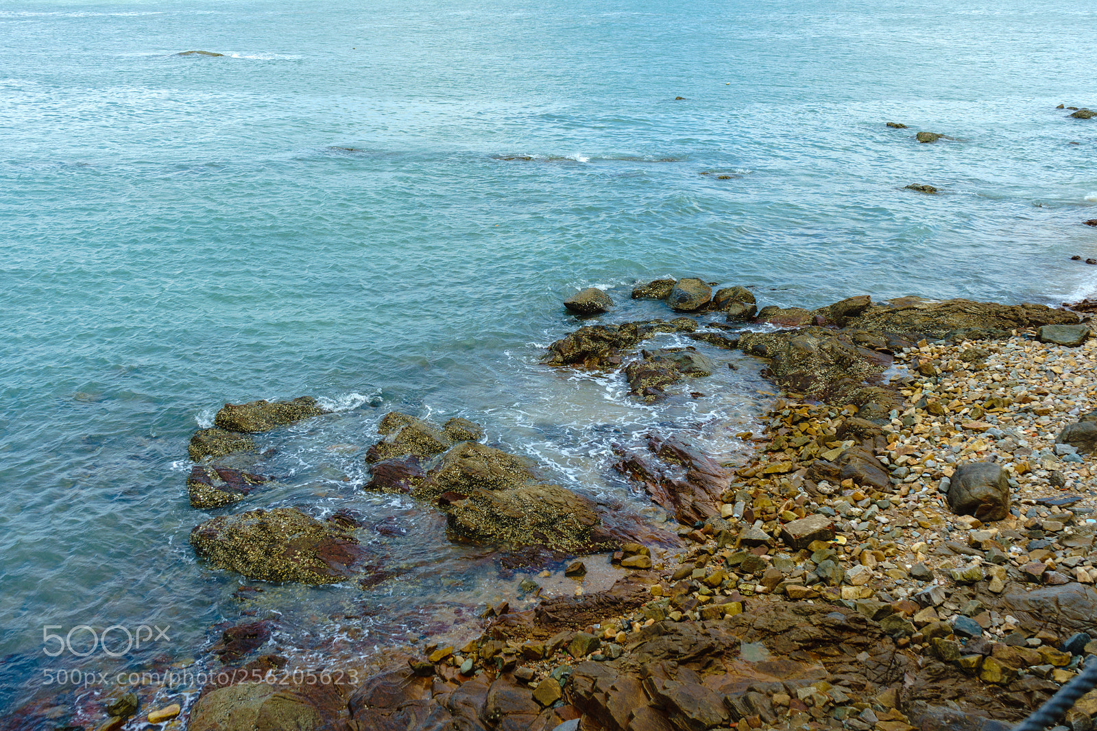 Sony a7 II sample photo. 20180421_092737.jpg photography