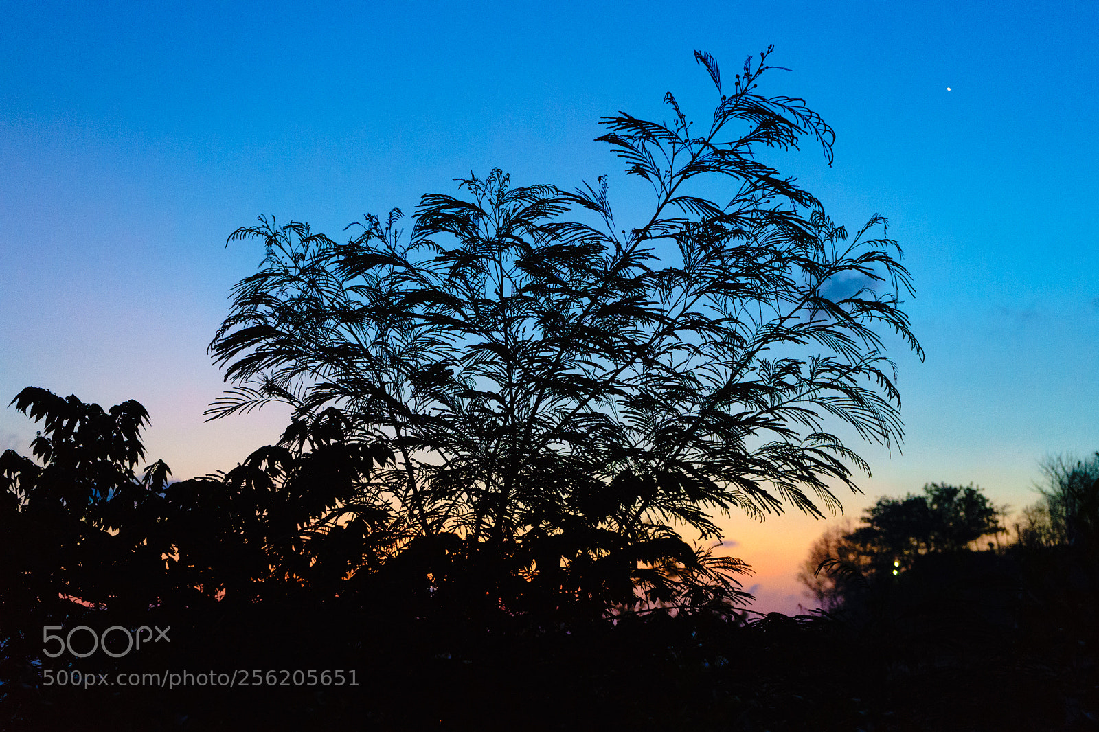 Sony a7 II sample photo. 20180421_182327.jpg photography