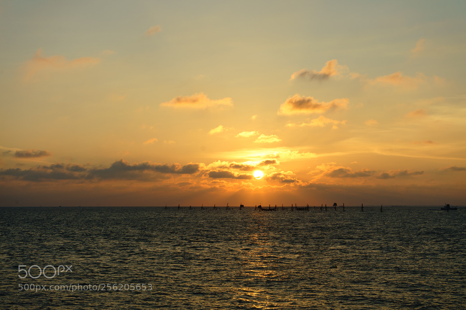 Sony a7 II sample photo. 20180422_175401.jpg photography