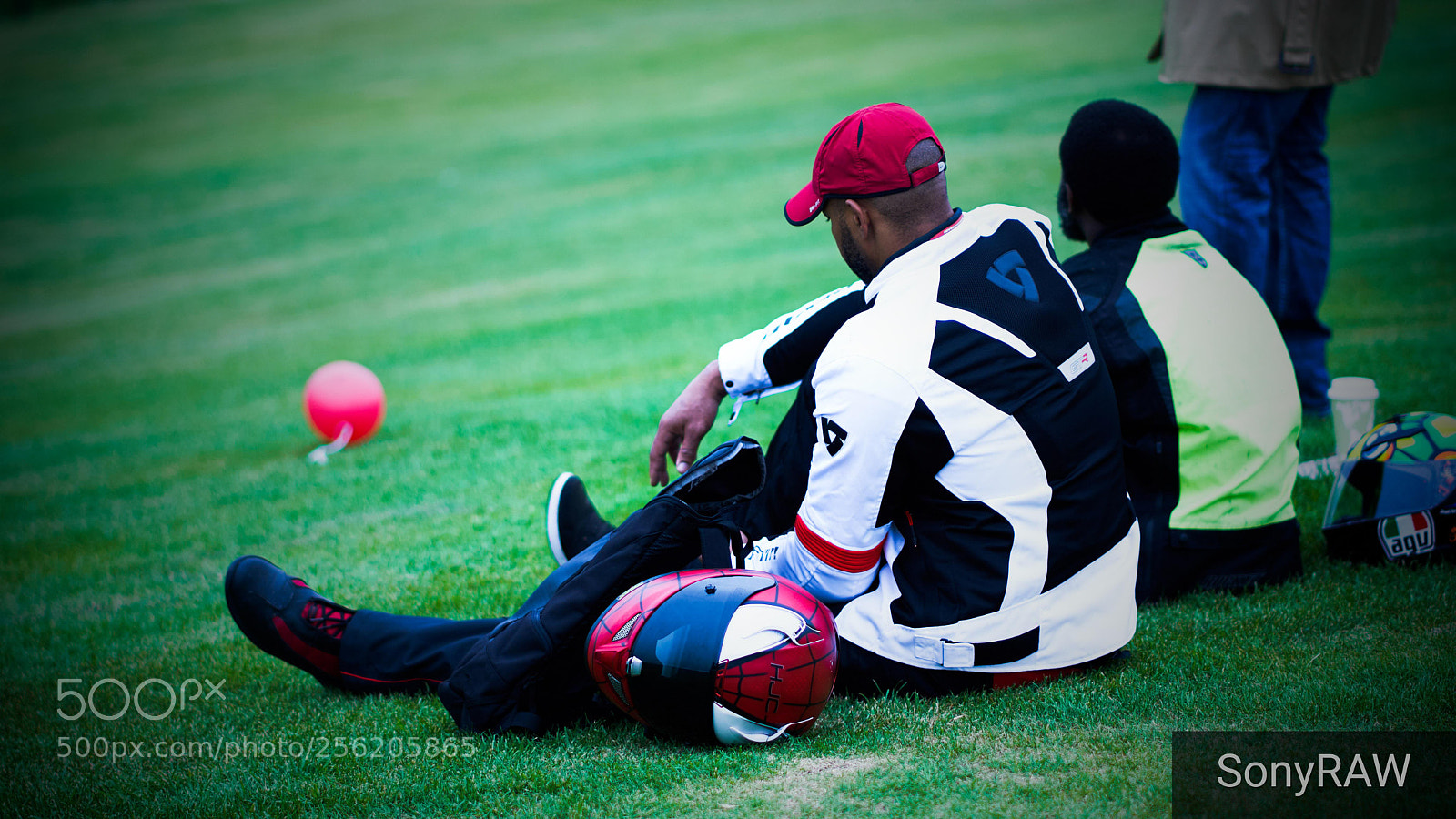 Sony a6500 sample photo. Fans on the lawn photography