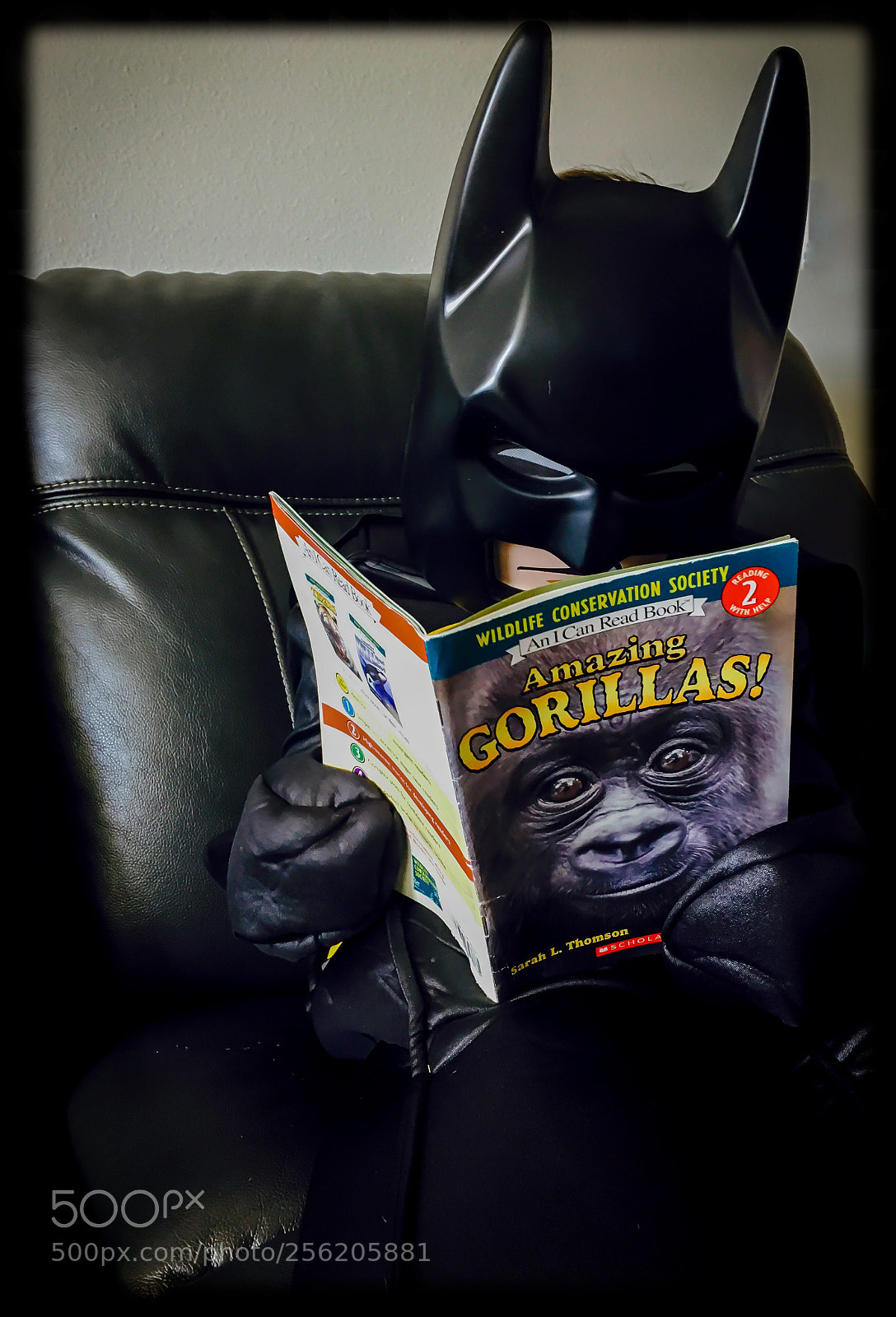 Apple iPhone 6s Plus sample photo. Batman honework photography