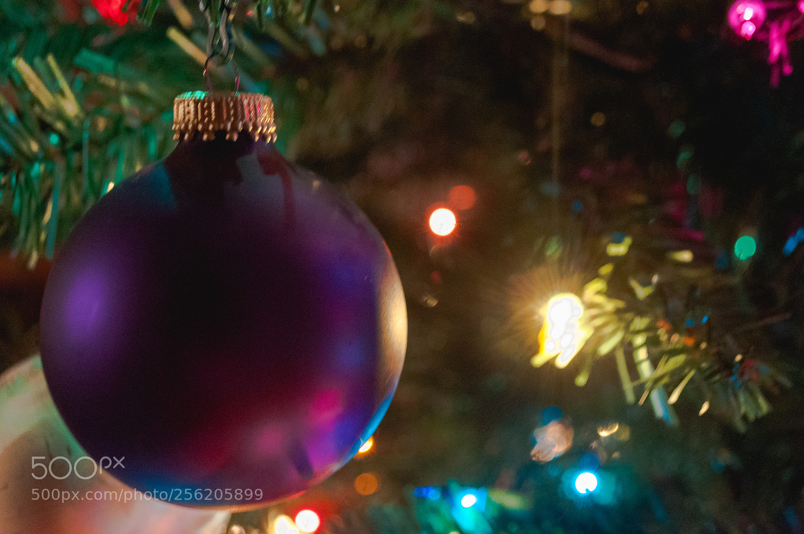 Nikon D90 sample photo. Ornament and lights photography