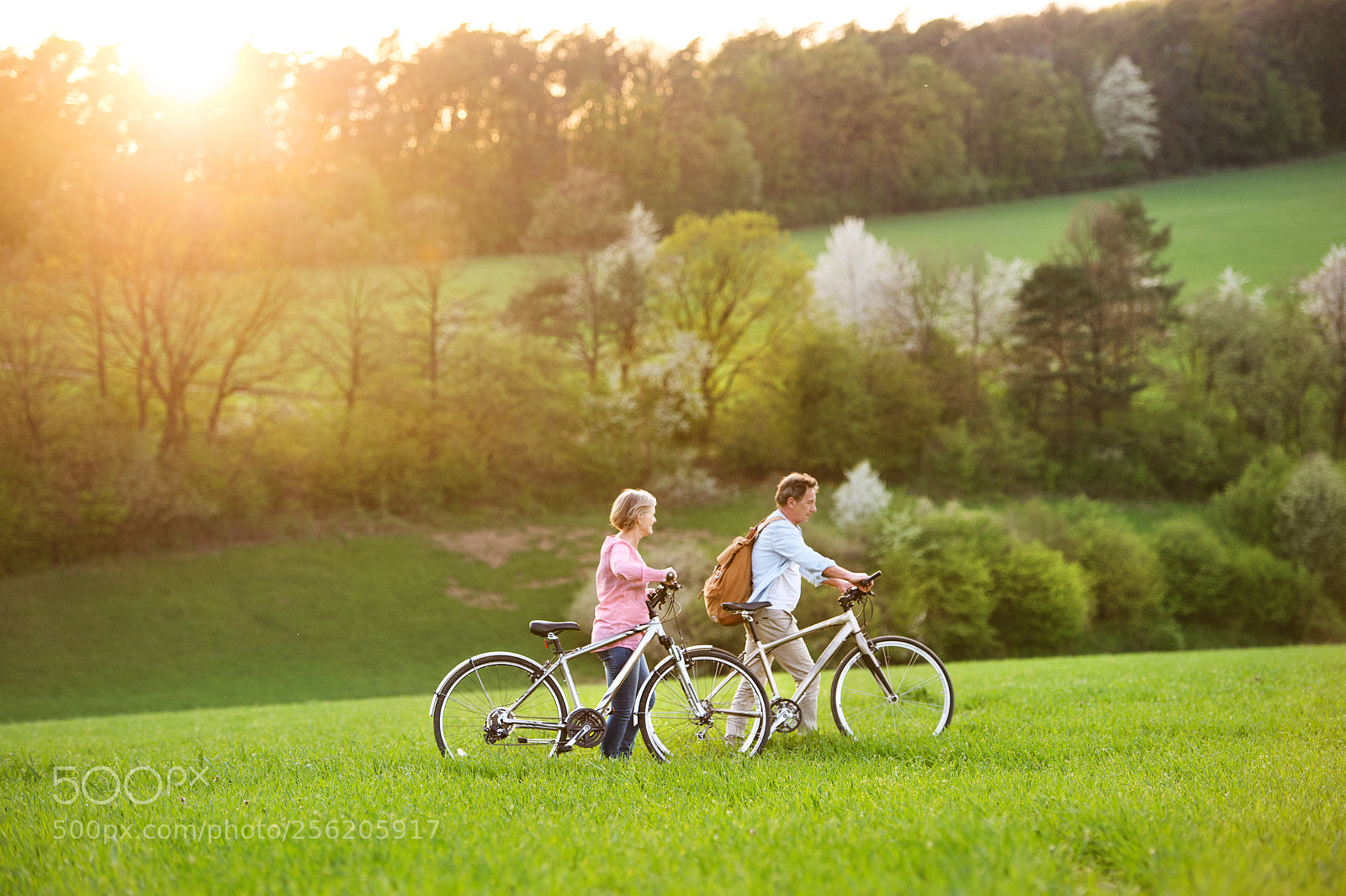 Nikon D4S sample photo. Beautiful senior couple with photography