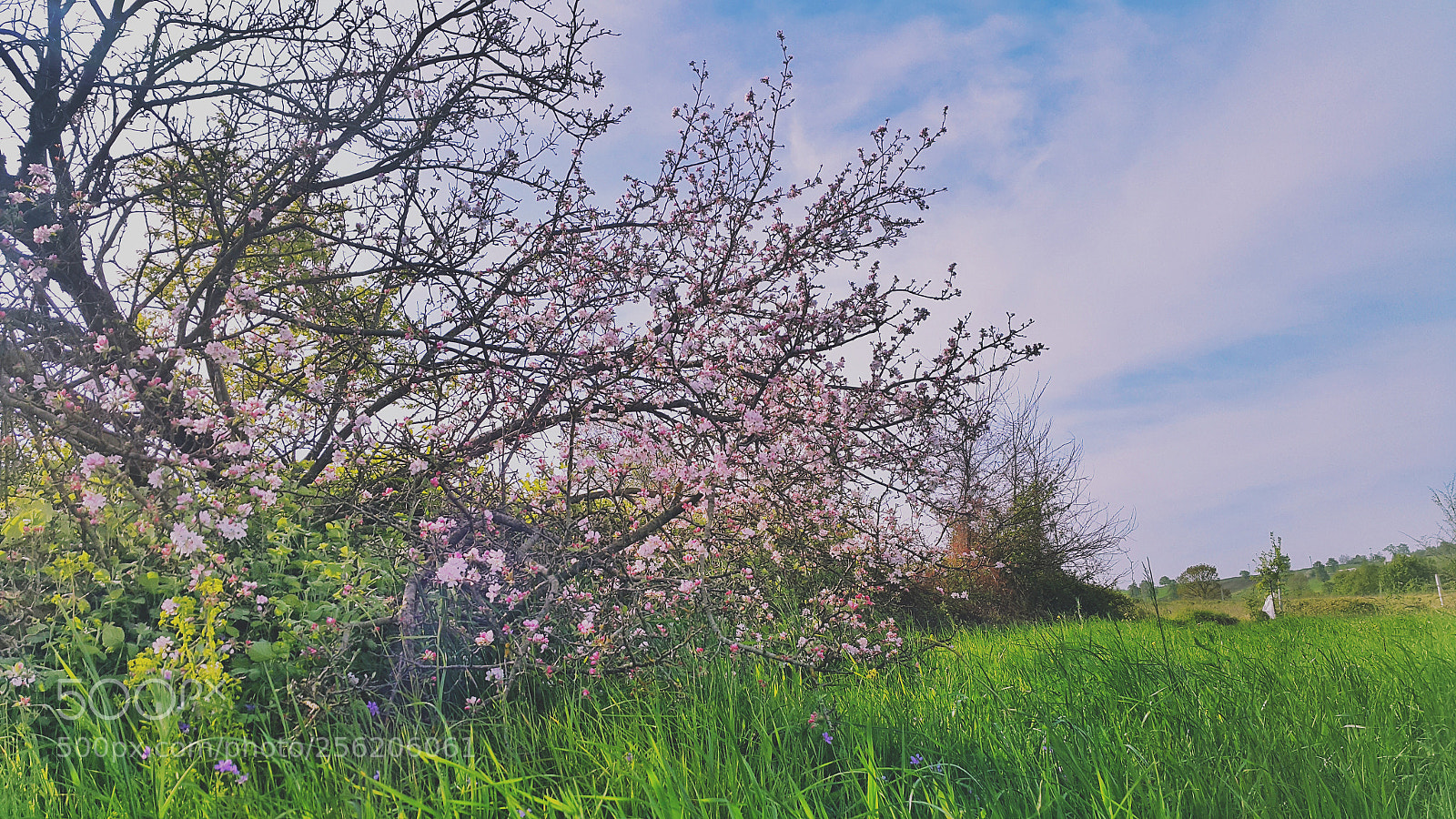 Samsung Galaxy Note4 sample photo. Untitled photography