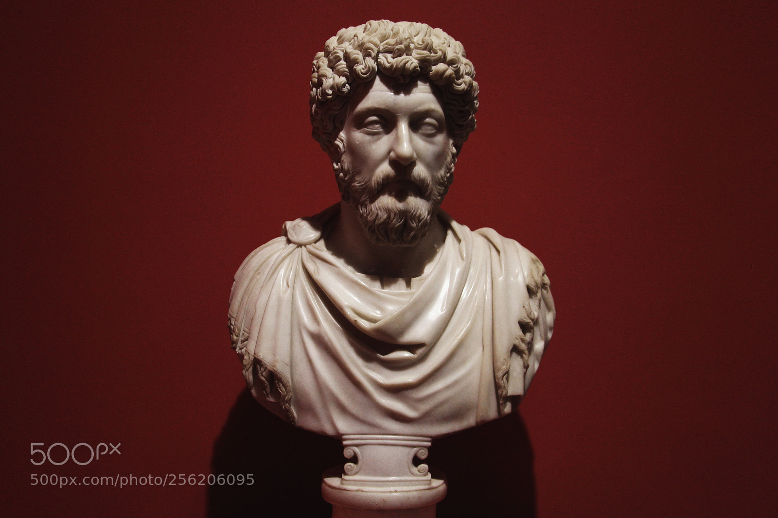 Canon EOS 700D (EOS Rebel T5i / EOS Kiss X7i) sample photo. Marcus aurelius photography