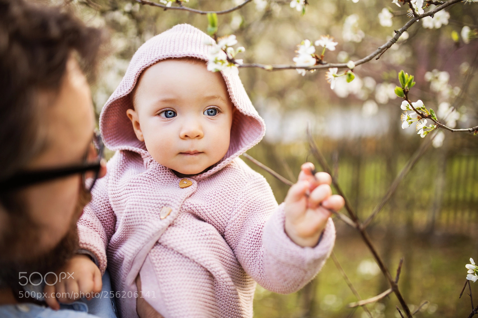 Nikon D5 sample photo. A father with his photography