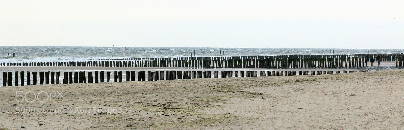 Canon EOS 70D sample photo. Zoutelande (nl) photography