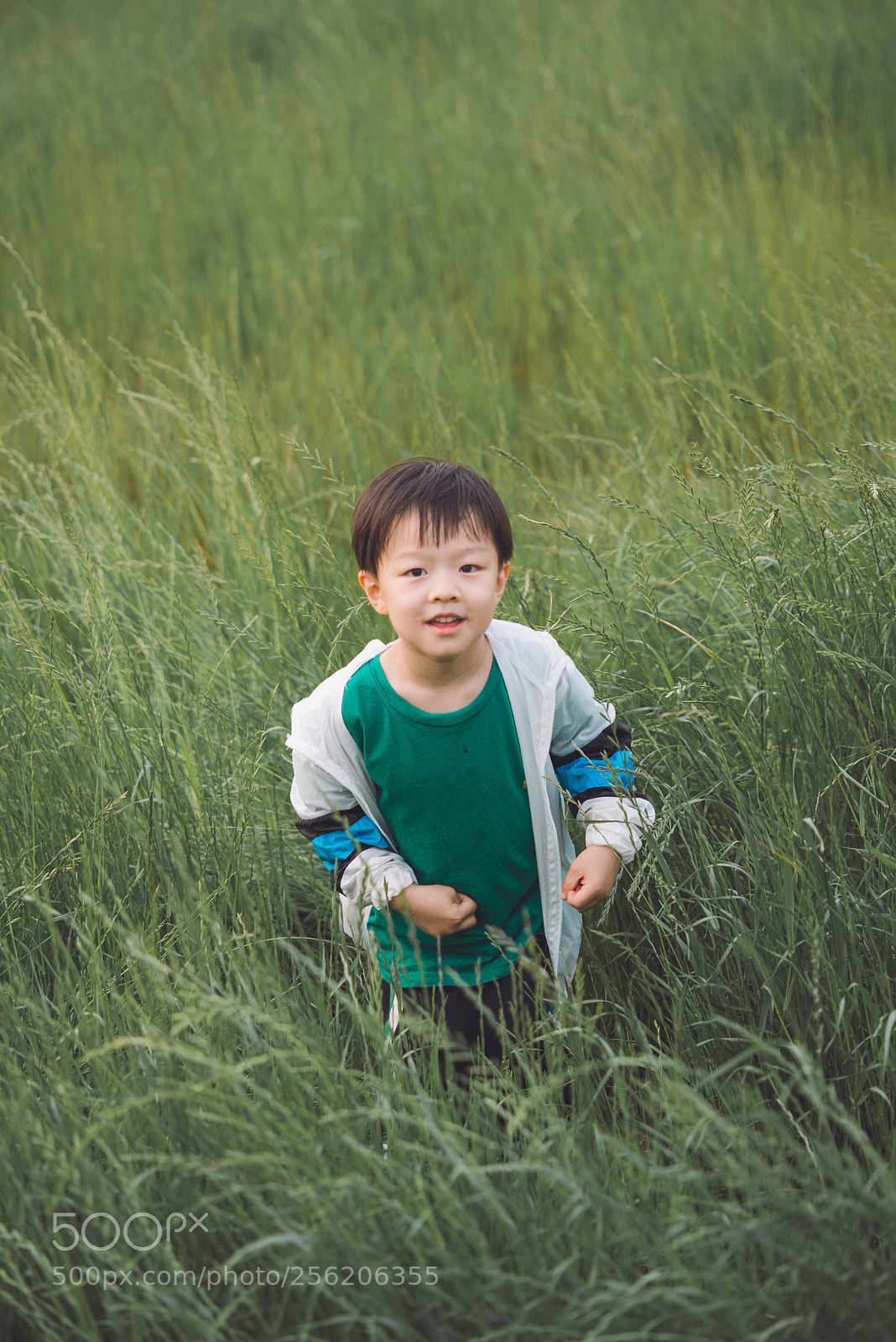 Nikon D800E sample photo. Untitled photography