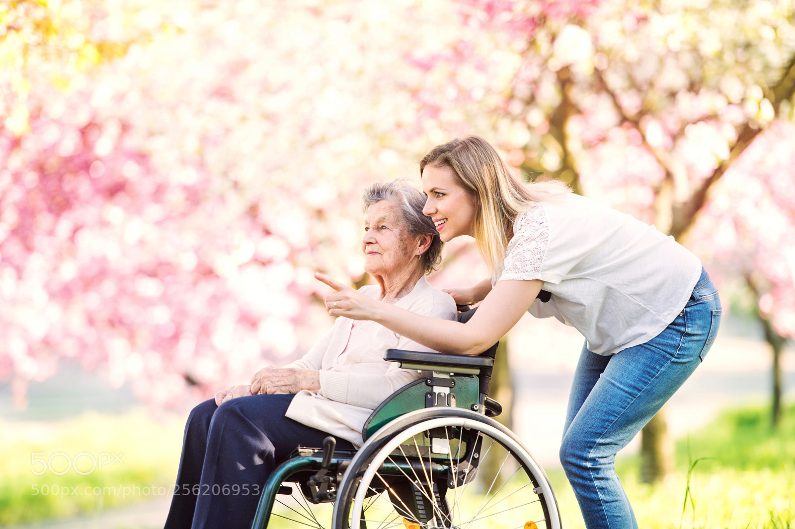 Nikon D5 sample photo. Elderly grandmother in wheelchair photography
