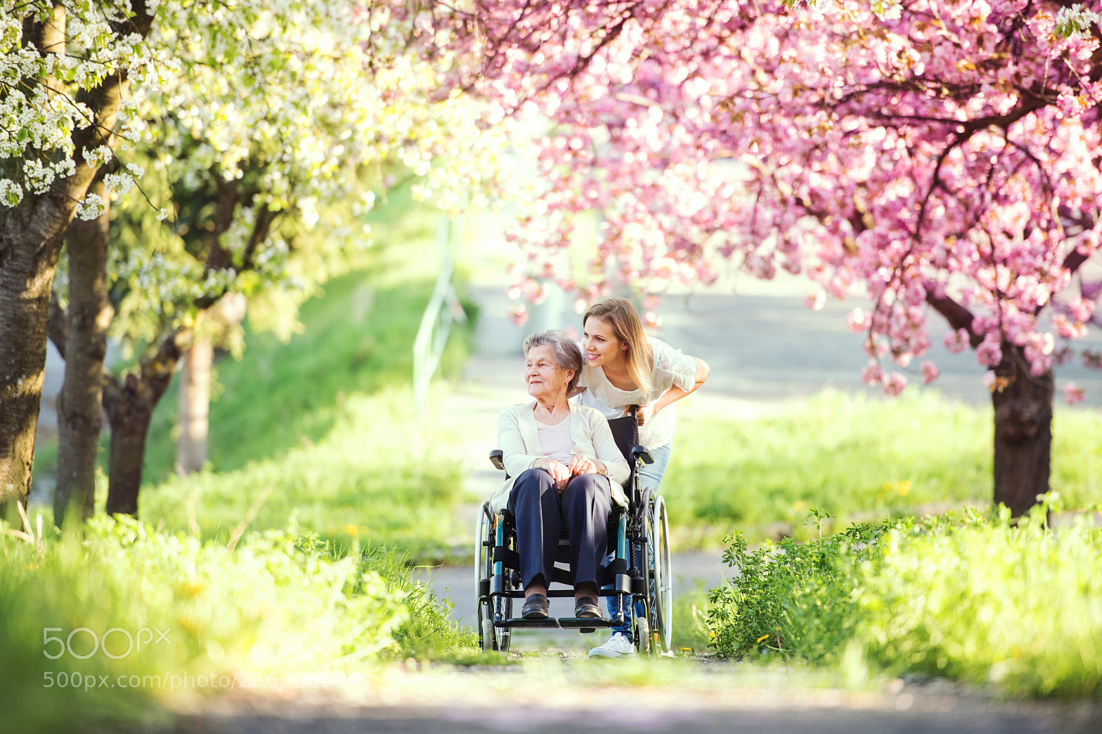 Nikon D5 sample photo. Elderly grandmother in wheelchair photography