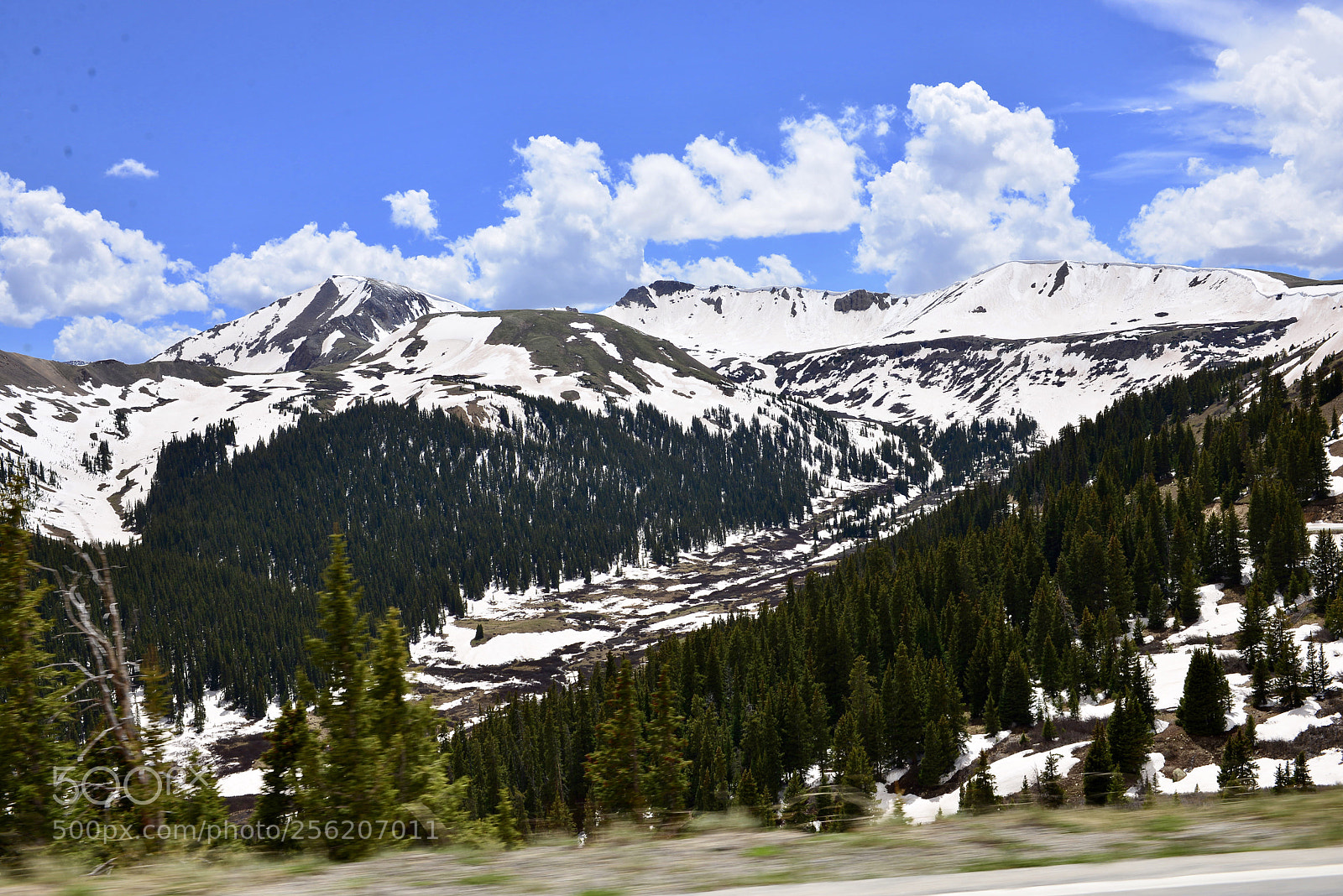 Nikon D600 sample photo. Colorado photography
