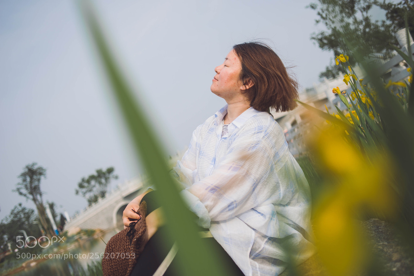 Nikon D800E sample photo. Untitled photography