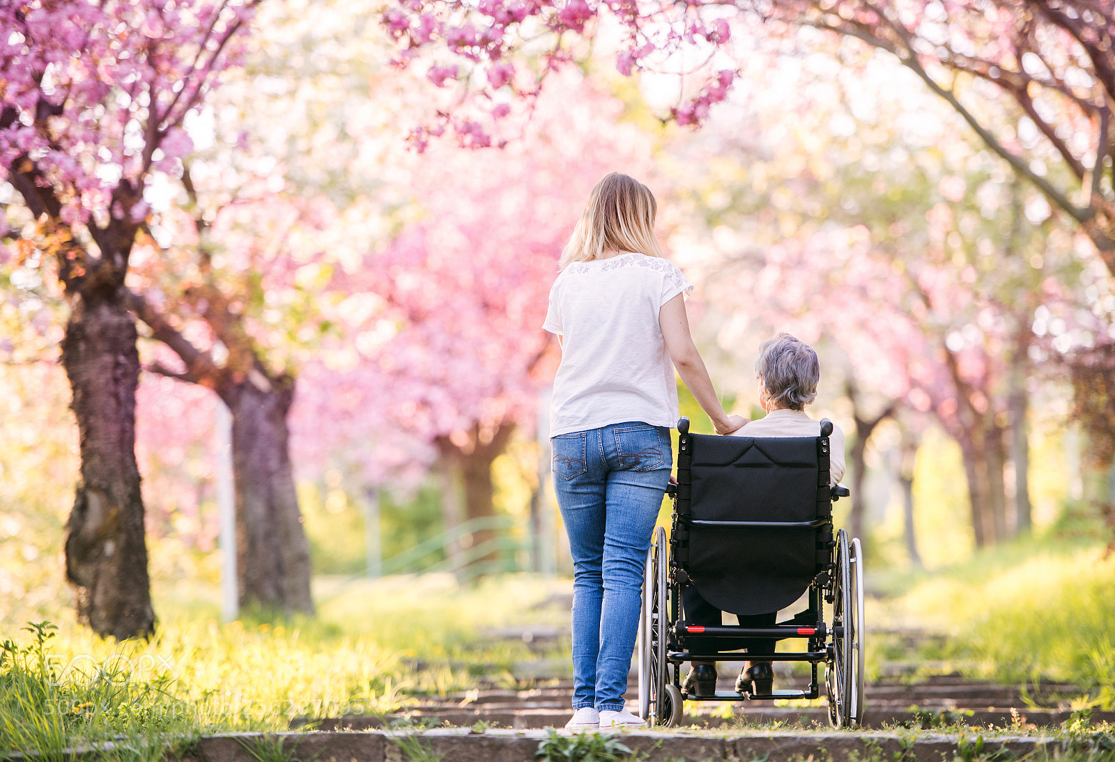 Nikon D5 sample photo. Elderly grandmother in wheelchair photography