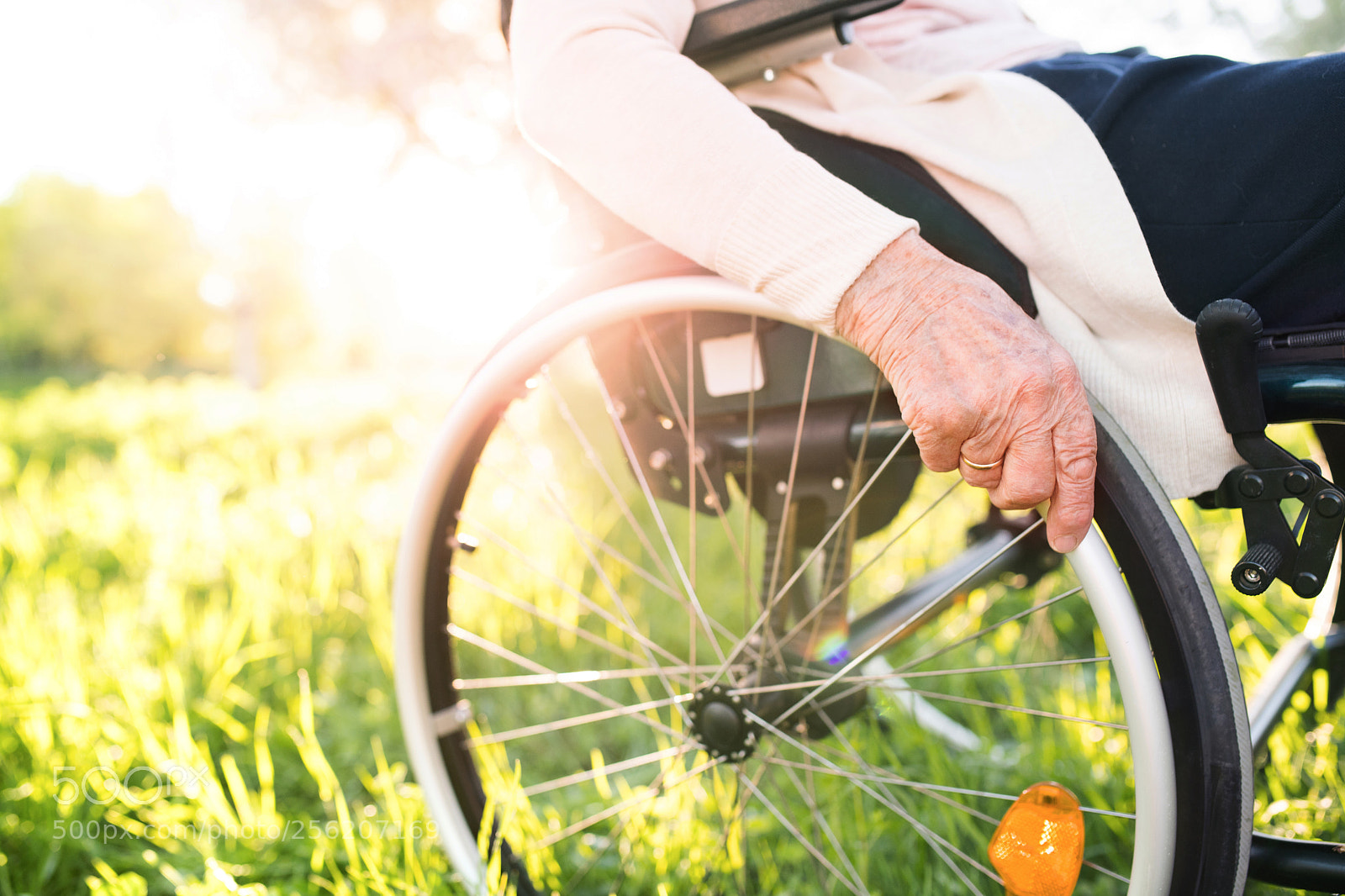 Nikon D5 sample photo. Elderly woman in wheelchair photography