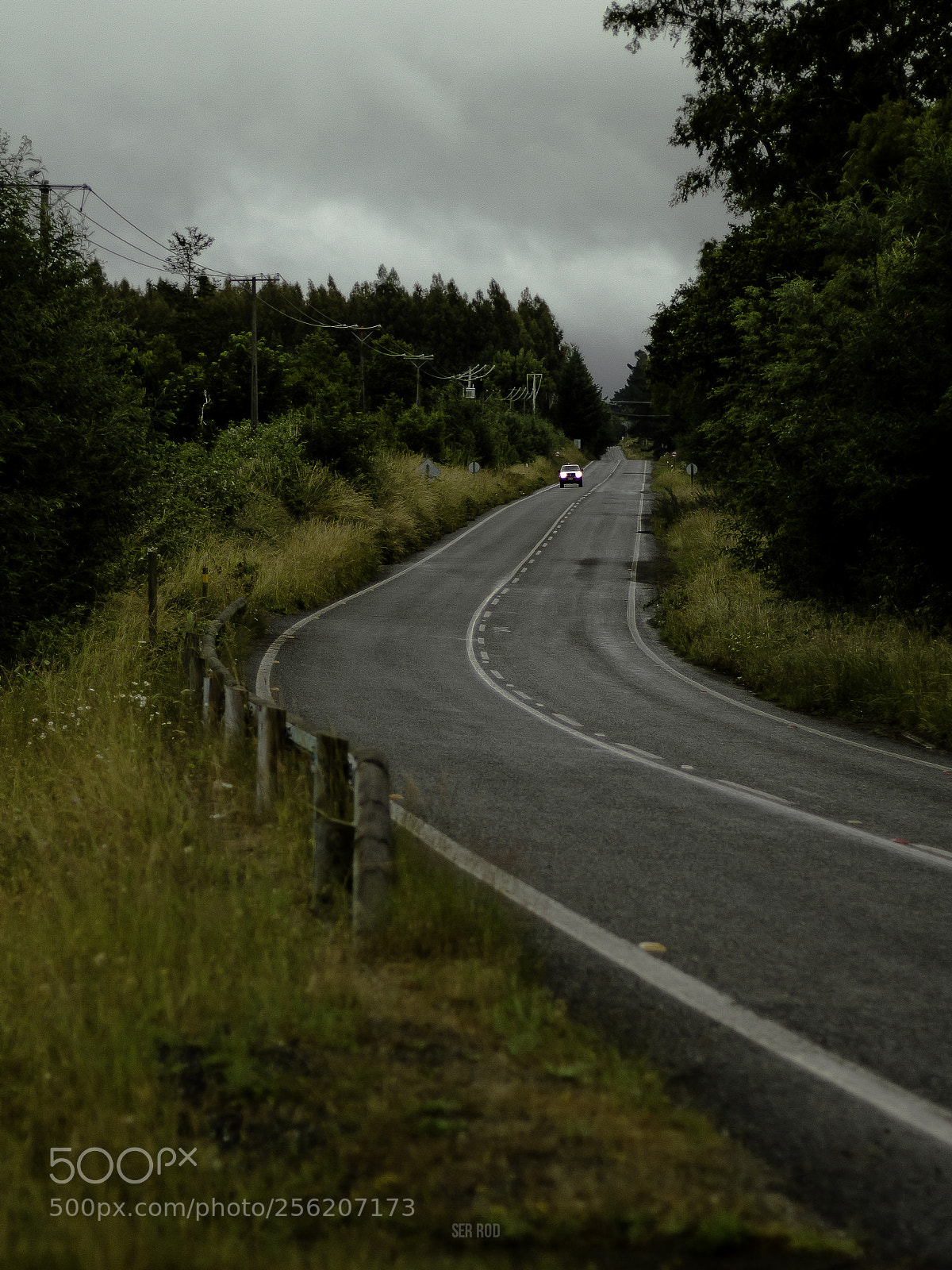 Canon EOS 650D (EOS Rebel T4i / EOS Kiss X6i) sample photo. Mg photography