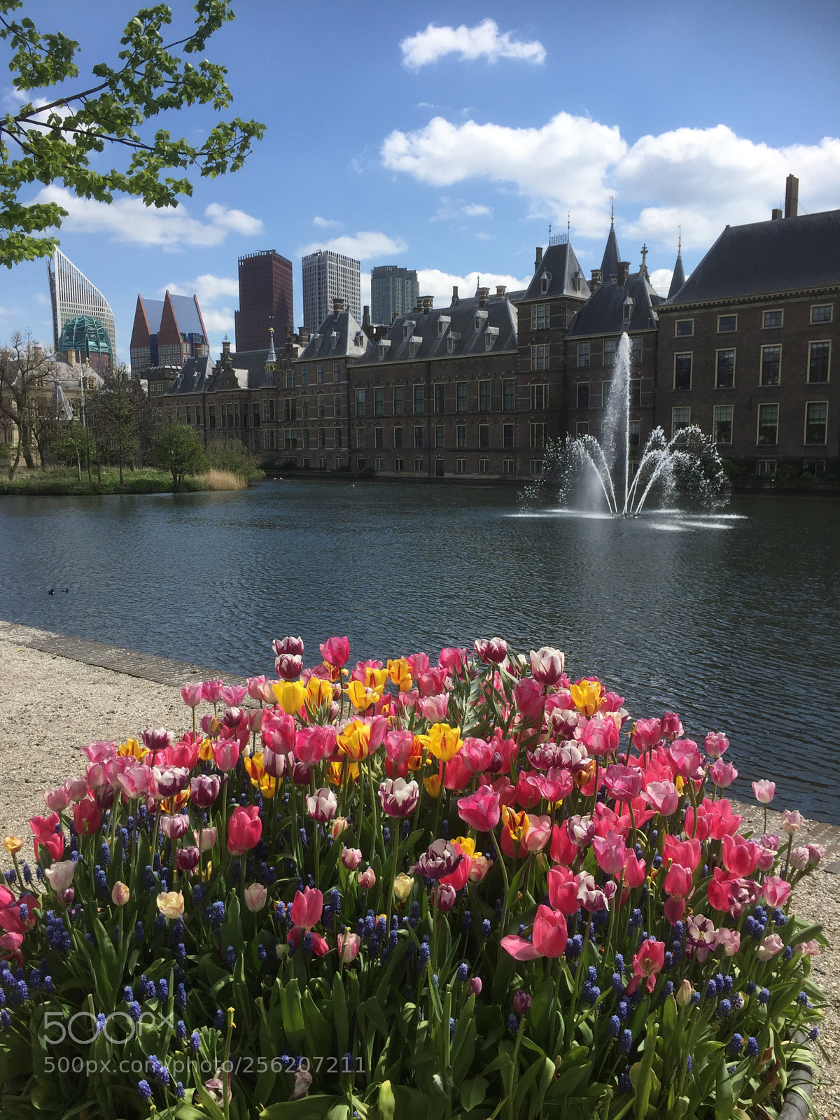Apple iPhone 6 sample photo. City center the hague photography