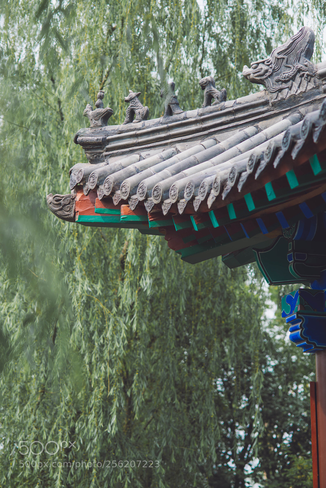 Nikon D800E sample photo. Untitled photography