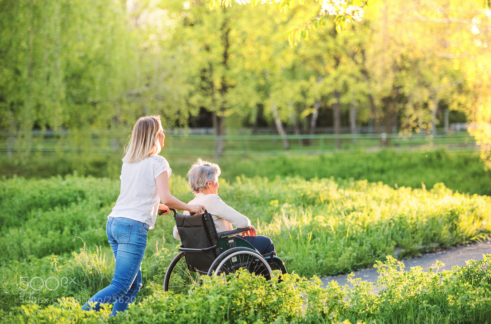 Nikon D5 sample photo. Elderly grandmother in wheelchair photography