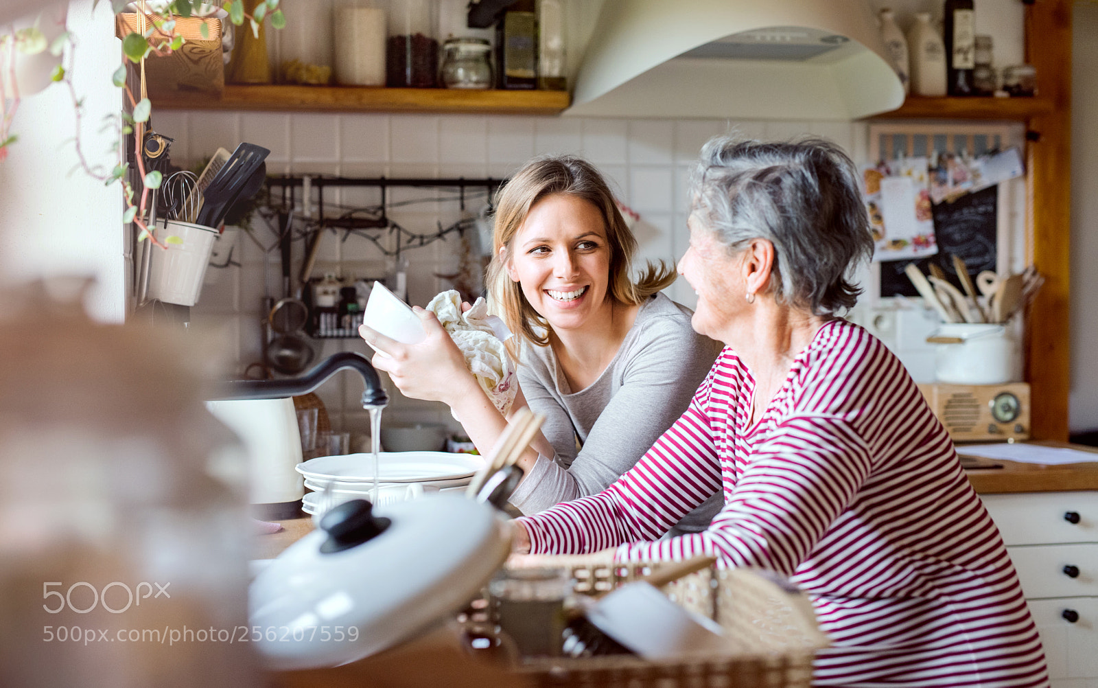 Nikon D5 sample photo. An elderly grandmother with photography