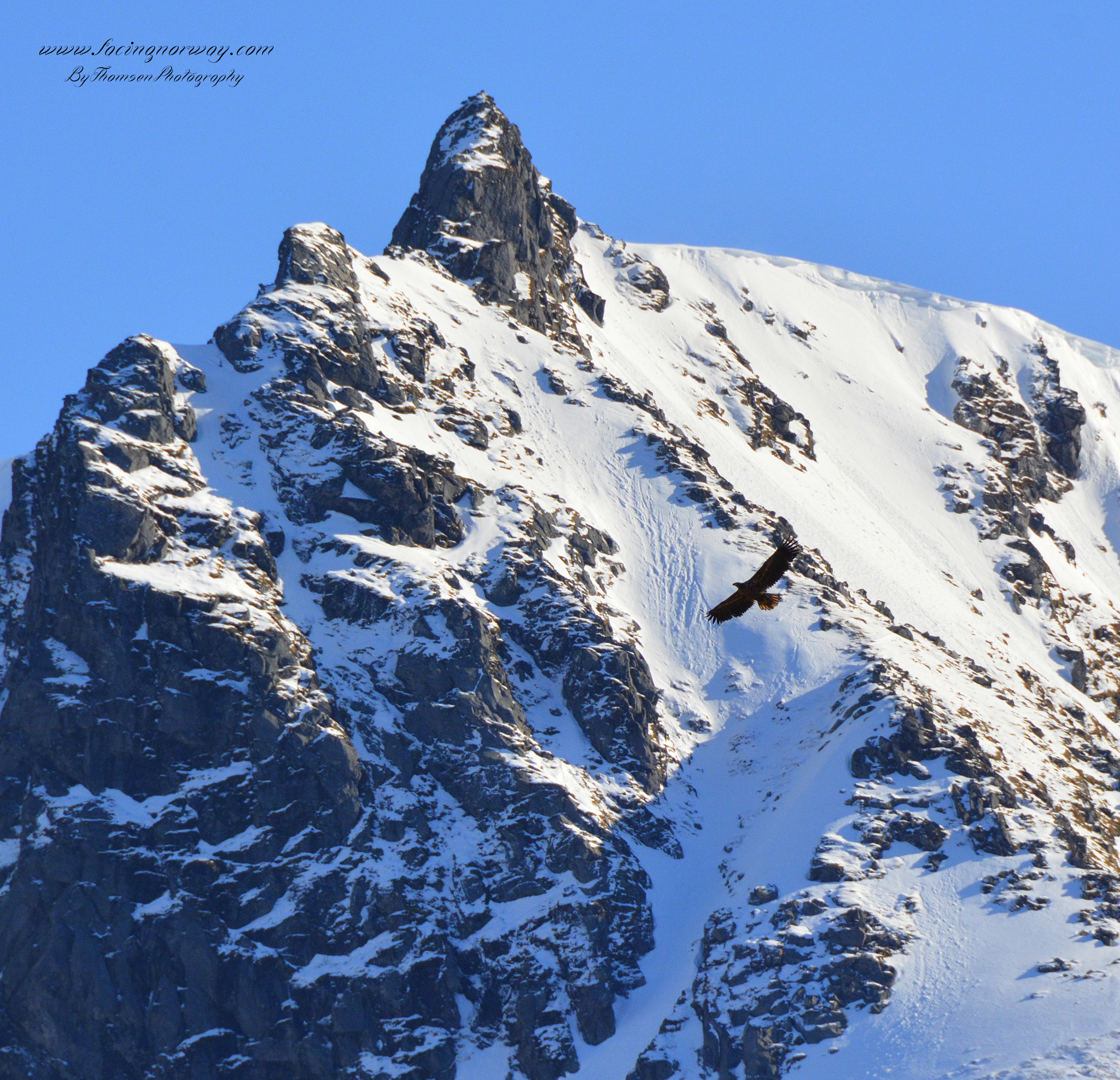Nikon D7100 sample photo. Explore lofoten. photography