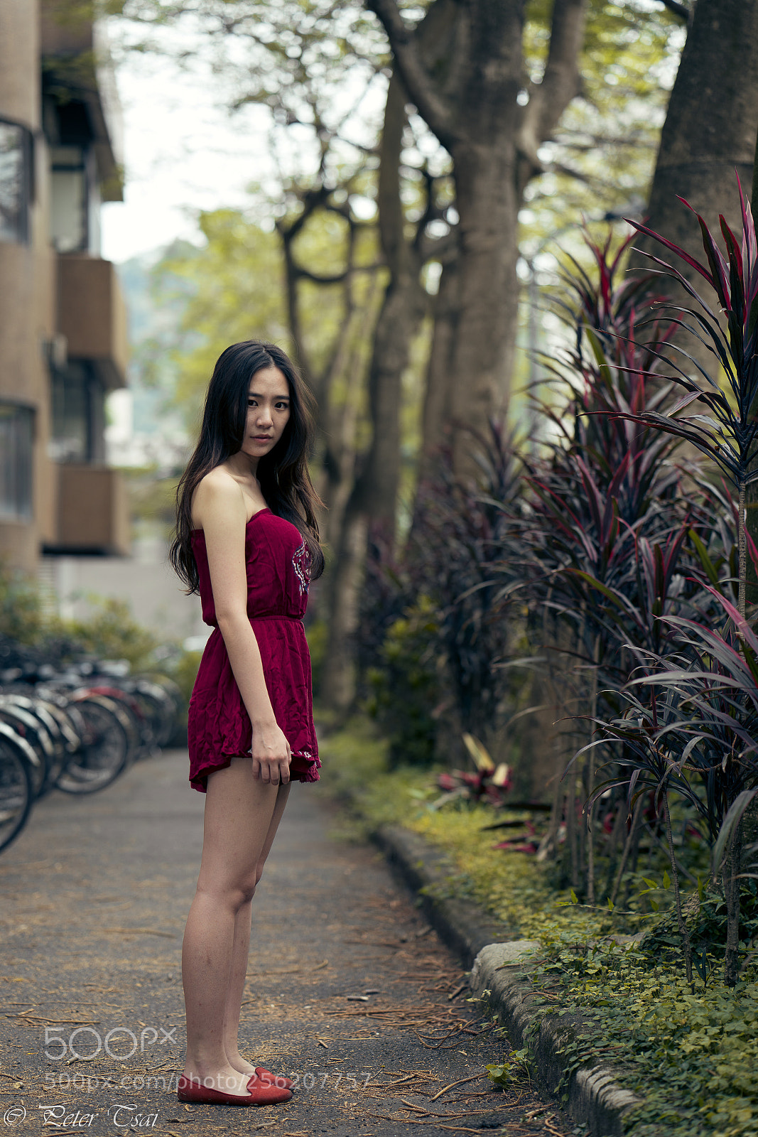 Sony a7R III sample photo. 家渝 photography