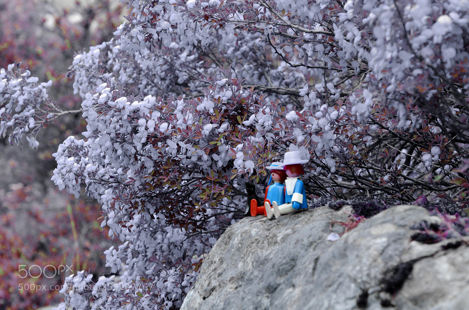 Nikon D7000 sample photo. Love in spring. photography