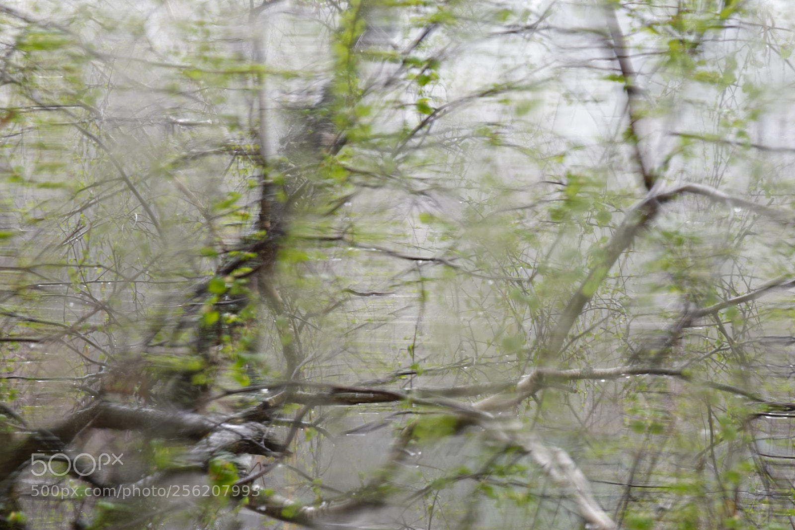 Nikon D5500 sample photo. 7261 photography