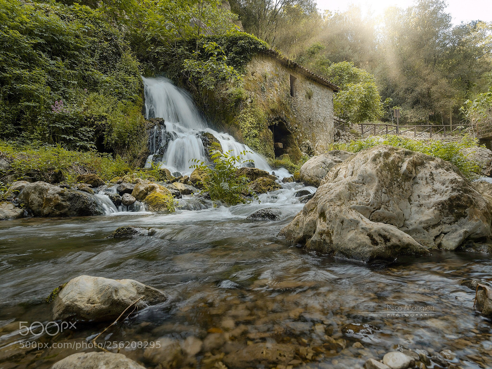 Panasonic Lumix DMC-GX8 sample photo. Mulino - oasi wwf photography